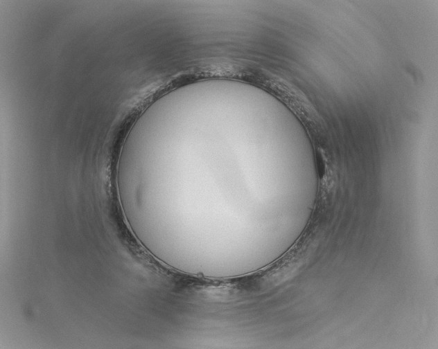 X0000115360306200911171358