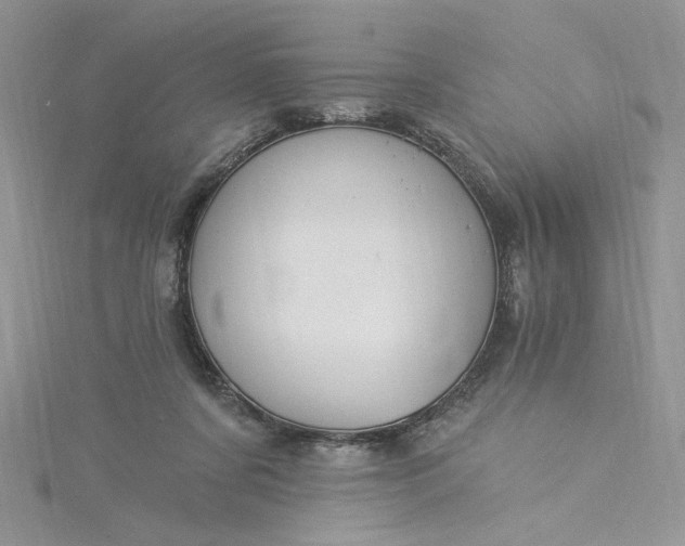 X0000115360311200911171358
