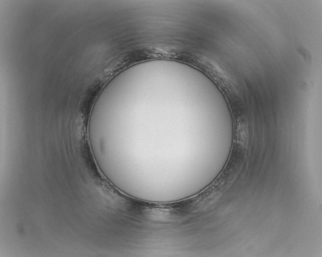 X0000115360318200911171358