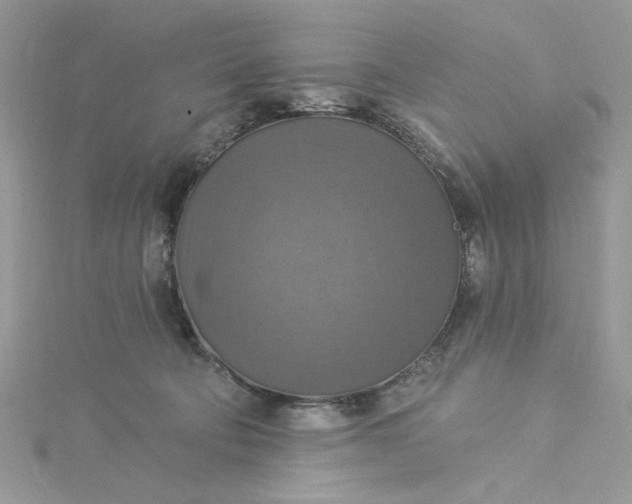 X0000115360322200911171358