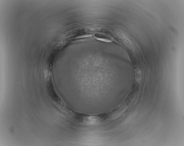 X0000115360324200911171358