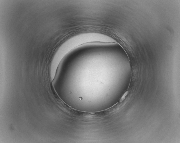 X0000115360325200911171358