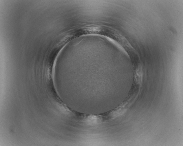 X0000115360330200911171358