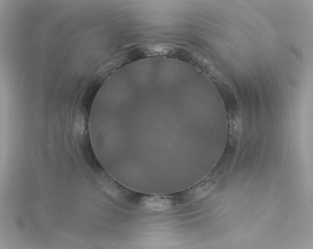 X0000115360331200911171358