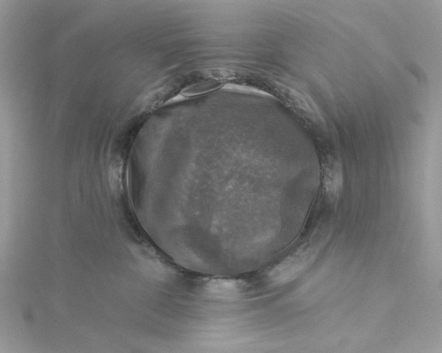 X0000115360332200911171358