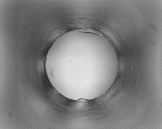 X0000115360333200911171358