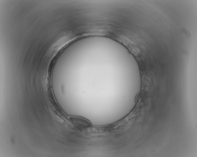 X0000115360338200911171357