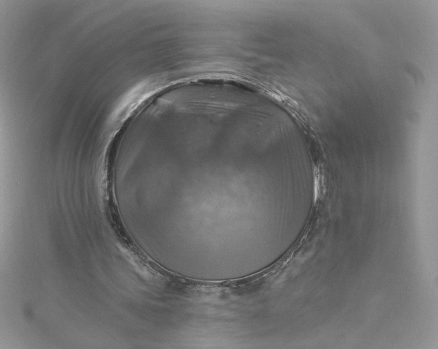 X0000115360339200911171357