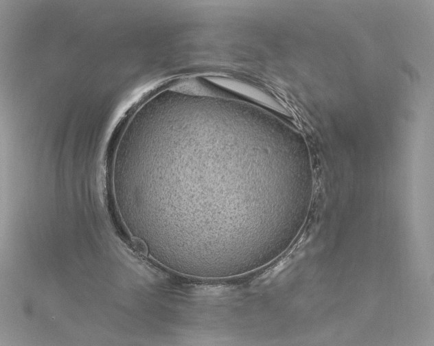 X0000115360342200911171357