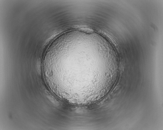 X0000115360345200911171357