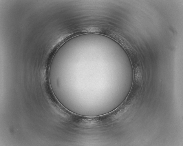 X0000115360351200911171357