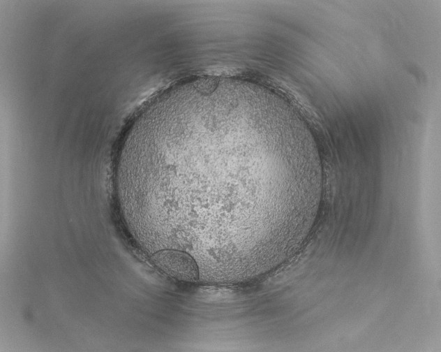 X0000115360354200911171357