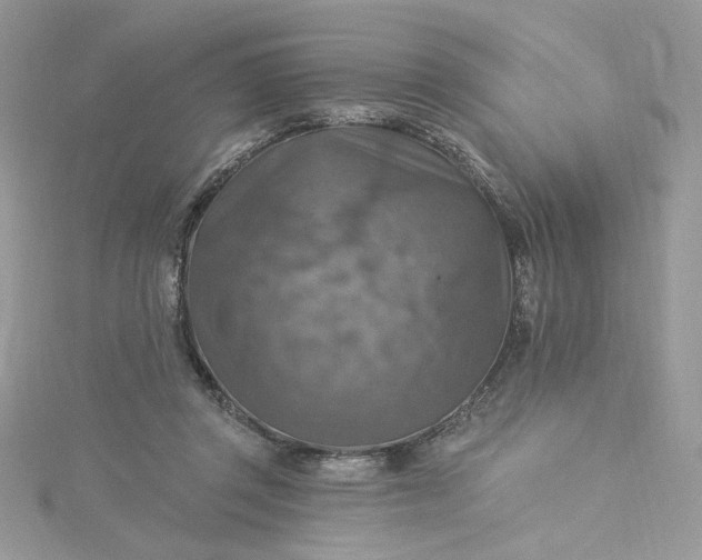 X0000115360357200911171357