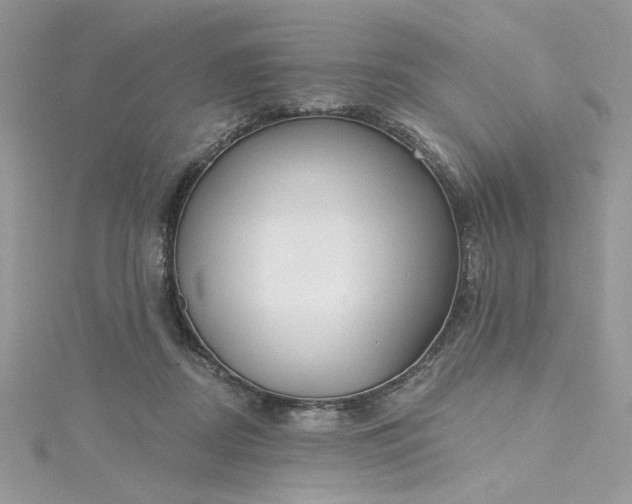 X0000115360362200911171358