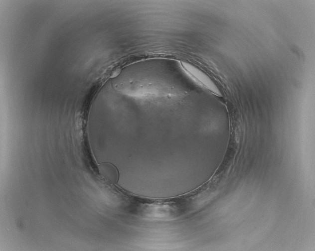 X0000115360366200911171358