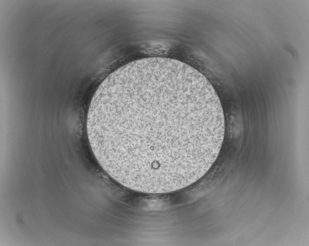 X0000115360370200911171358