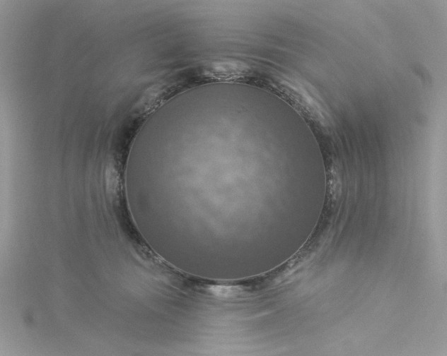 X0000115360371200911171358