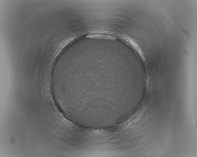 X0000115360385200911171357