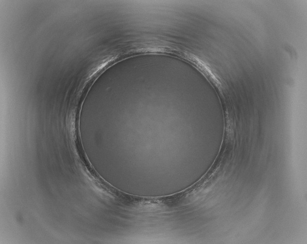 X0000115360386200911171357