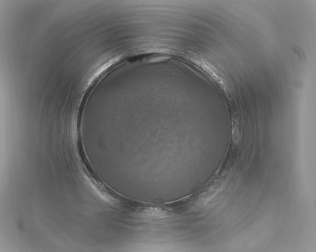 X0000115360390200911171357