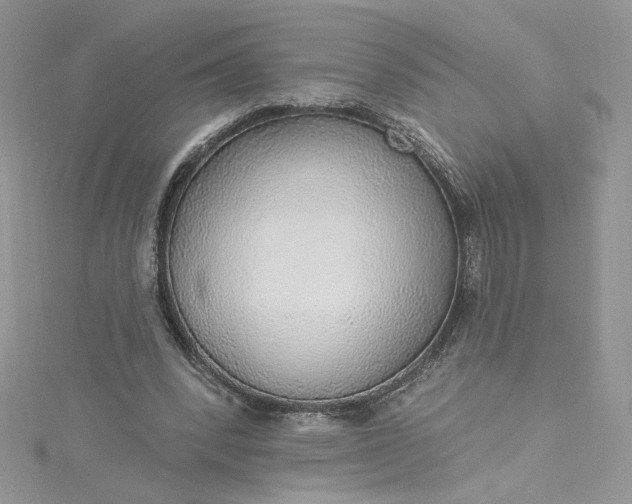 X0000115360392200911171357