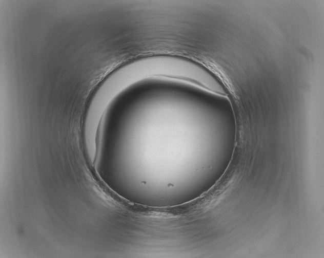 X0000115360393200911171357