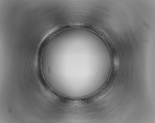 X0000115360396200911171357