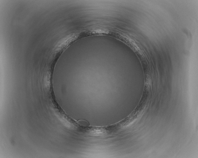X0000115360402200911171357