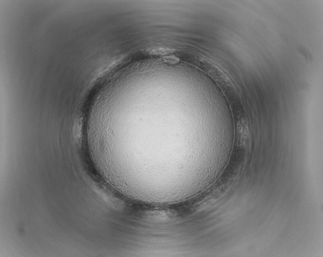 X0000115360404200911171357