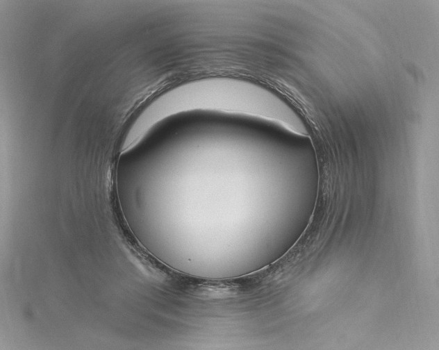 X0000115360405200911171357