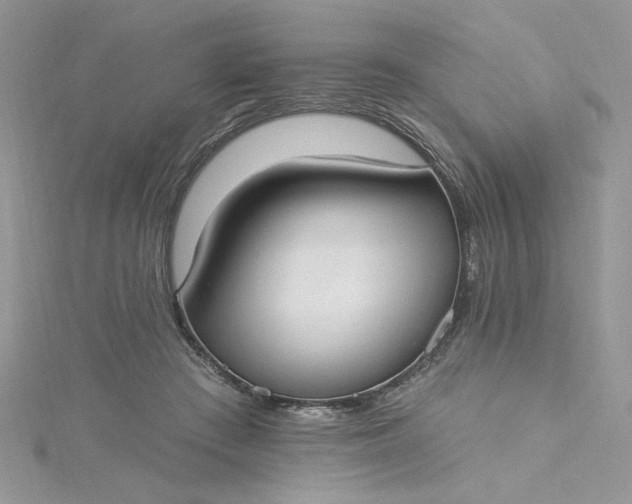 X0000115360409200911171357