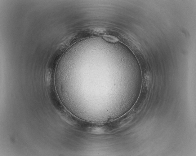 X0000115360412200911171357