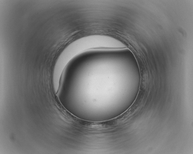X0000115360413200911171357