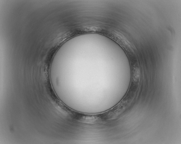 X0000115360414200911171357