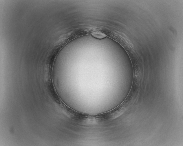 X0000115360416200911171357