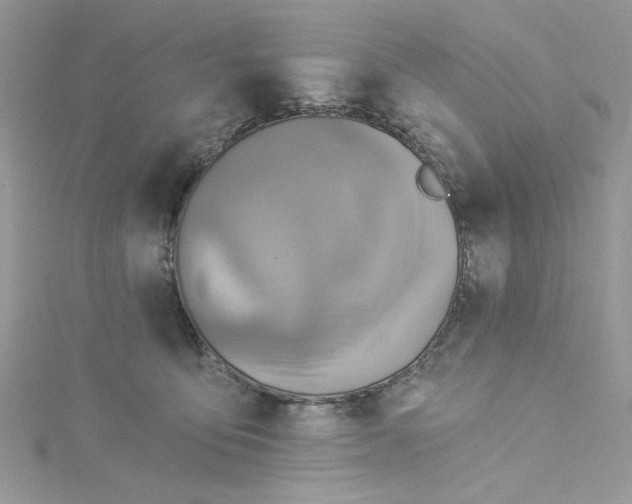 X0000115360419200911171357