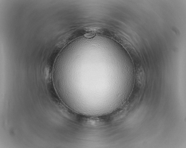 X0000115360420200911171357
