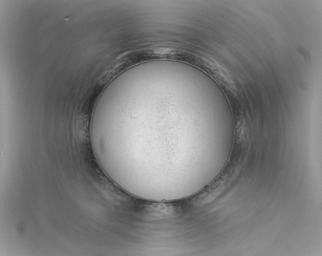 X0000115360421200911171357