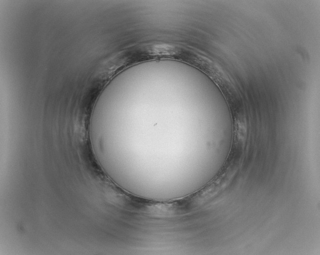 X0000115360422200911171357