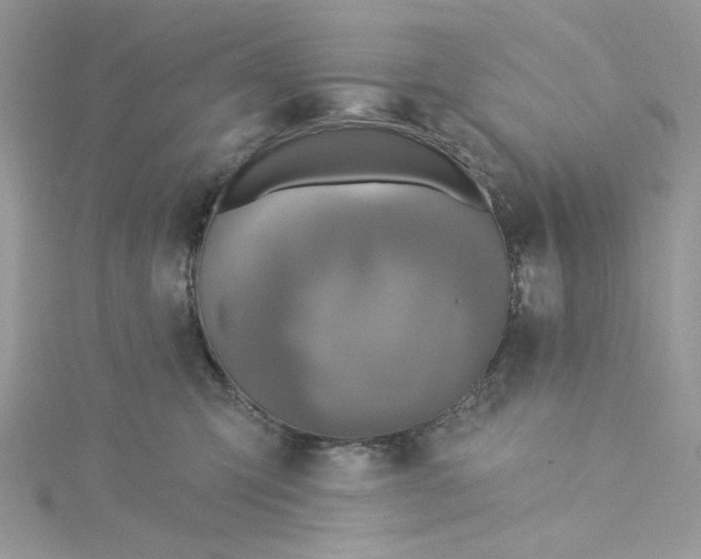 X0000115360423200911171357