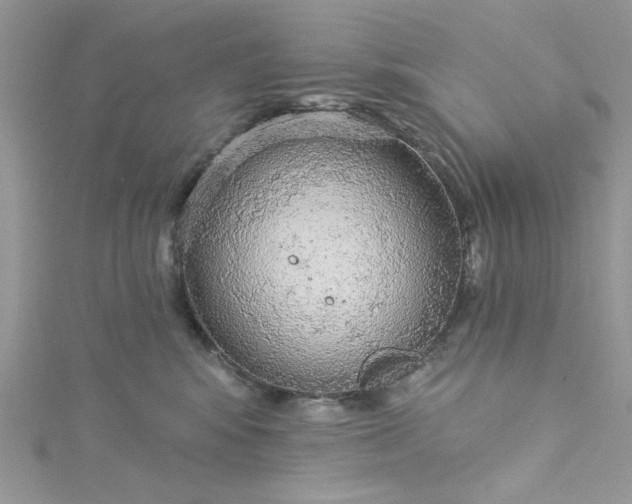 X0000115360424200911171357
