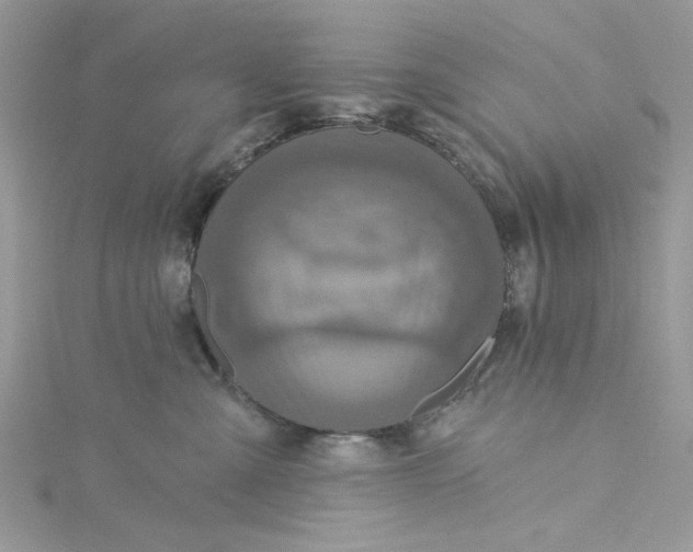X0000115360427200911171357