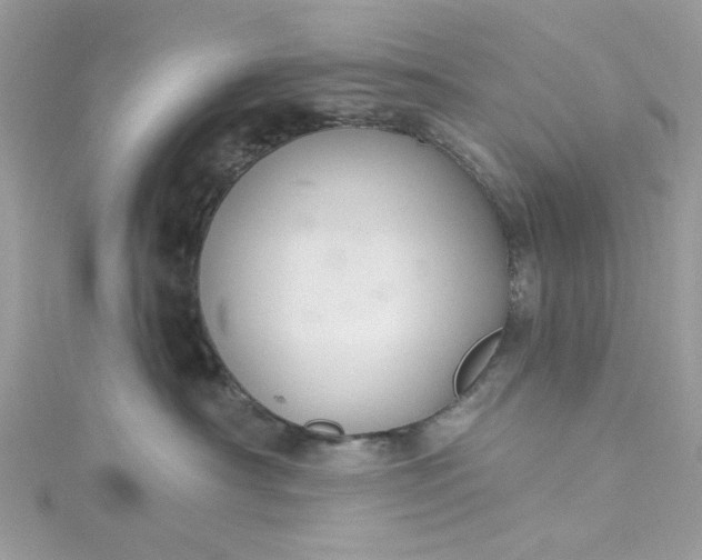 X0000115360430200911171357