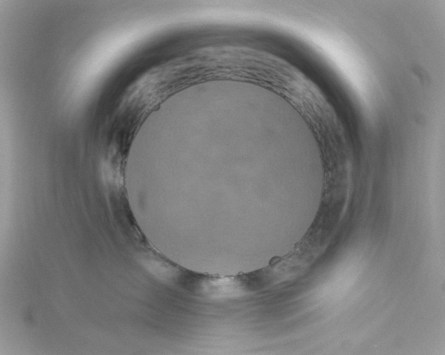 X0000115360431200911171356