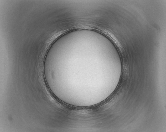 X0000115360433200911171356