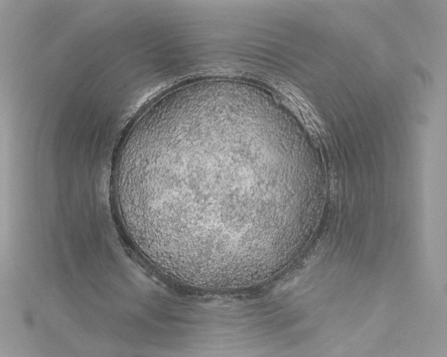X0000115360434200911171356
