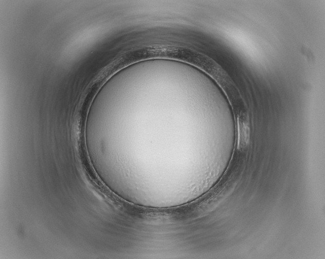 X0000115360435200911171356