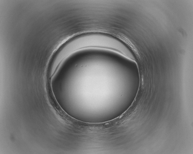 X0000115360436200911171356