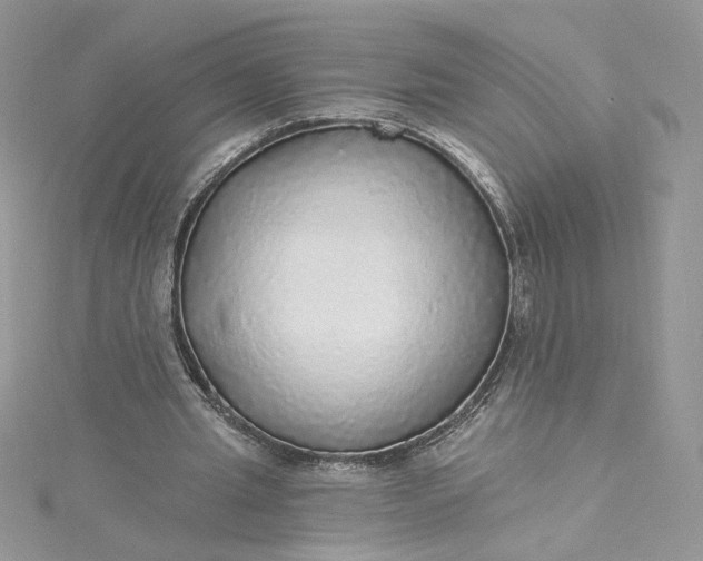 X0000115360437200911171356