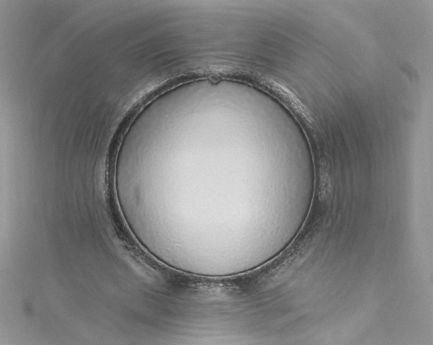 X0000115360439200911171356
